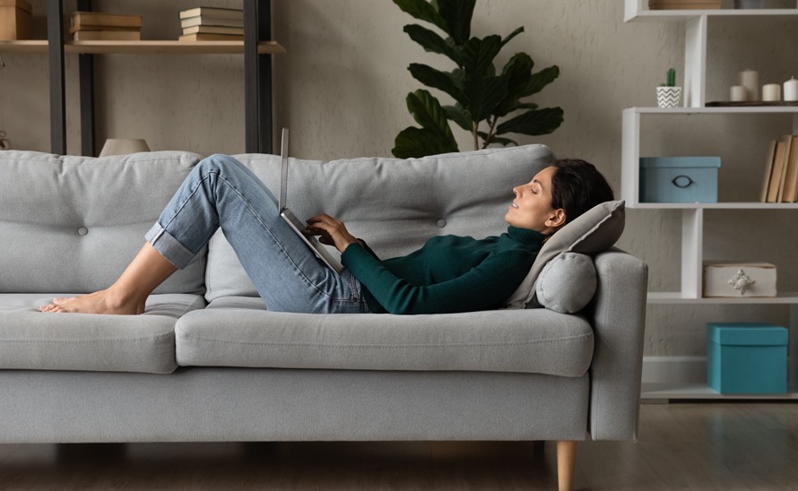 cat sofas