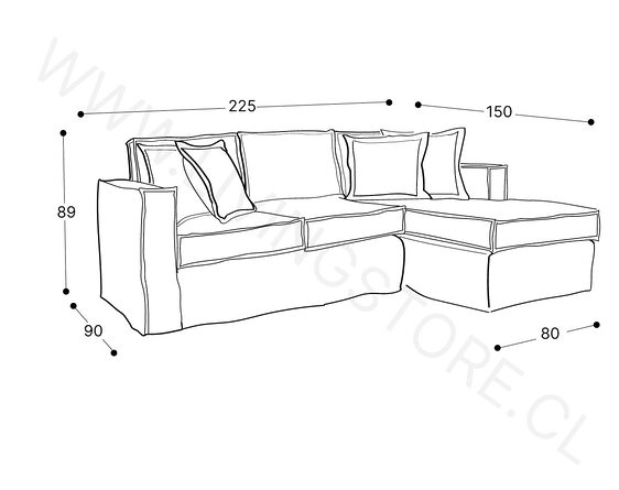 trazo seccional bruna derecho