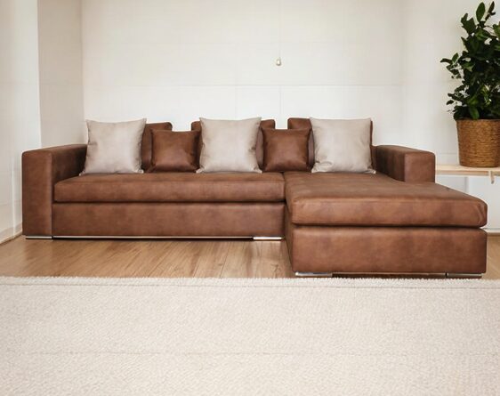 seccinal levante derecho bonded photoroom