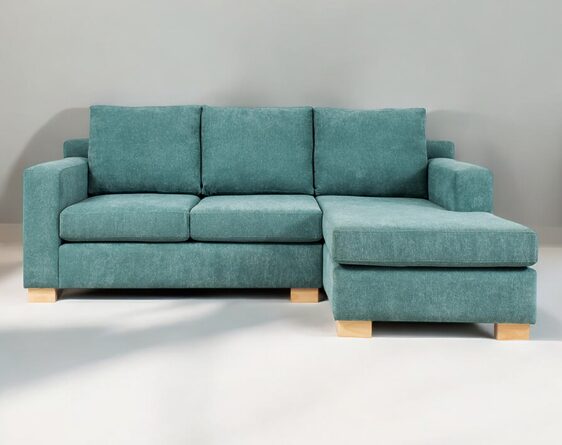 seccional isabella derecho fines photoroom seccional isabella derecho fines photoroom